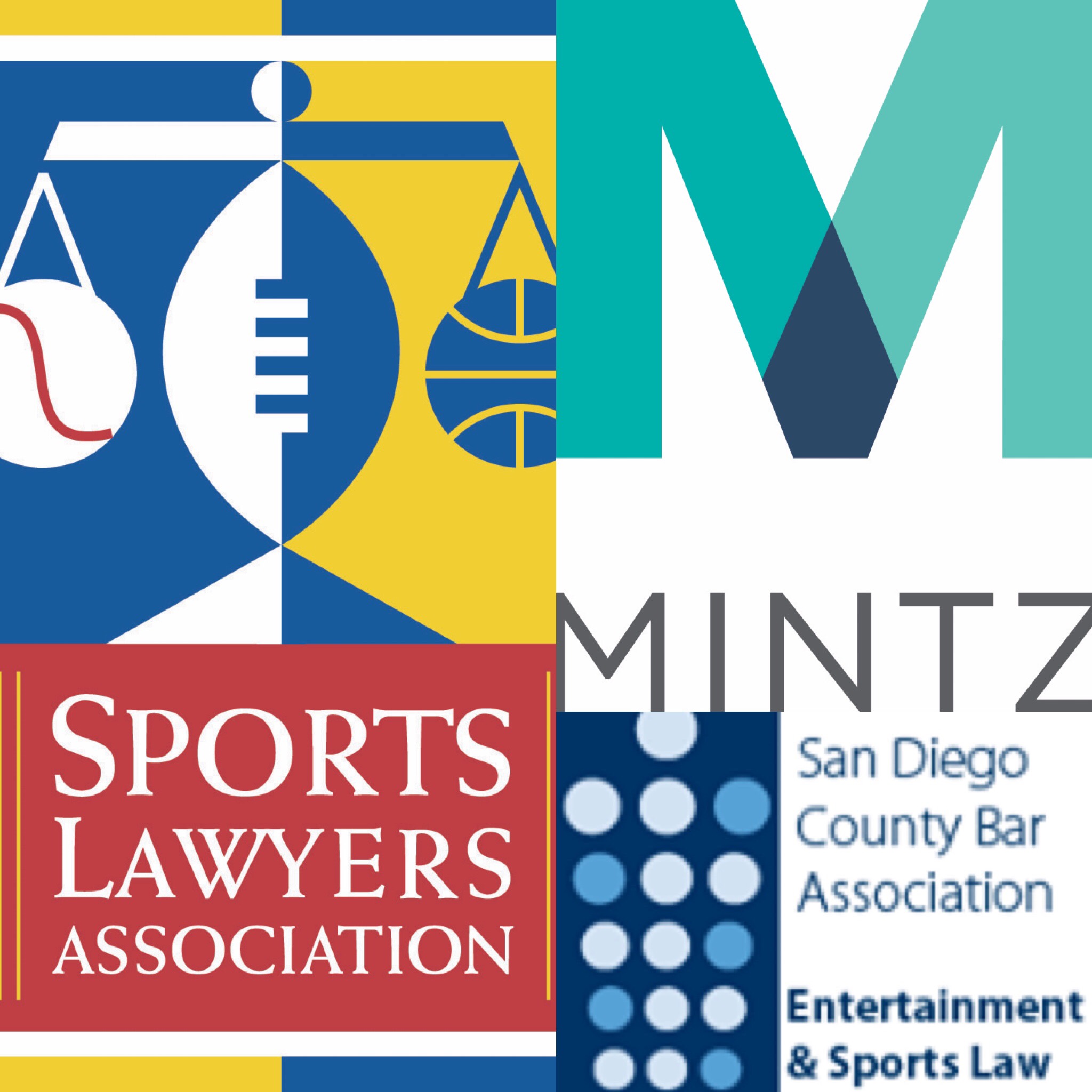 Navigating the Sports Industry: A Round Table Discussion with Sports Lawyers